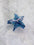 Starfish Small Hair Clip - 3 Colors Available