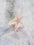 Starfish Small Hair Clip - 3 Colors Available