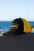 The Room Brand "Yellow Goby" Trucker Hat