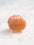 Mini Scallop Shells Hair Clip - 4 Colors Available