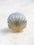 Mini Scallop Shells Hair Clip - 4 Colors Available