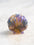 Mini Scallop Shells Hair Clip - 4 Colors Available