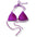 The Room Triangle Bikini Tops