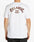 Billabong "Arch Fill" Short Sleeve T-Shirt | 4 colors